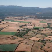 Fields near Launceston