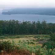 Forestier Peninsula coast