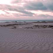 Henty Dunes