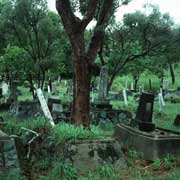 Japanese Cemetery