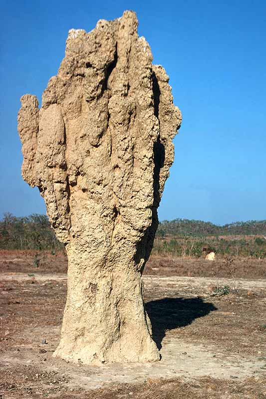 Magnetic Anthill