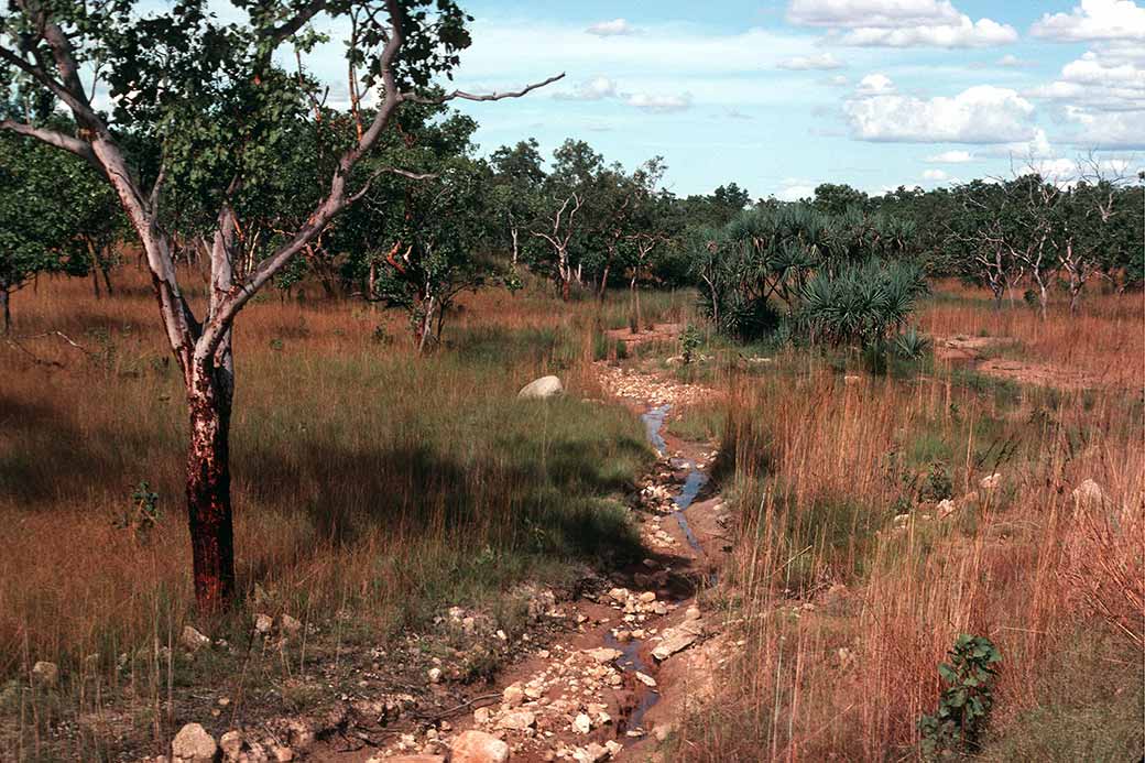 Near Adelaide River