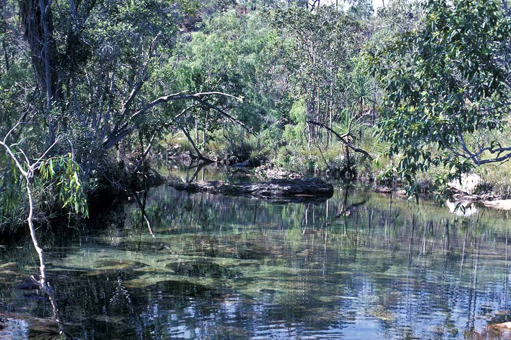 Tolmer River