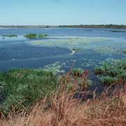 Fogg Dam: no swimming