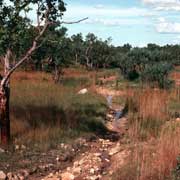 Near Adelaide River