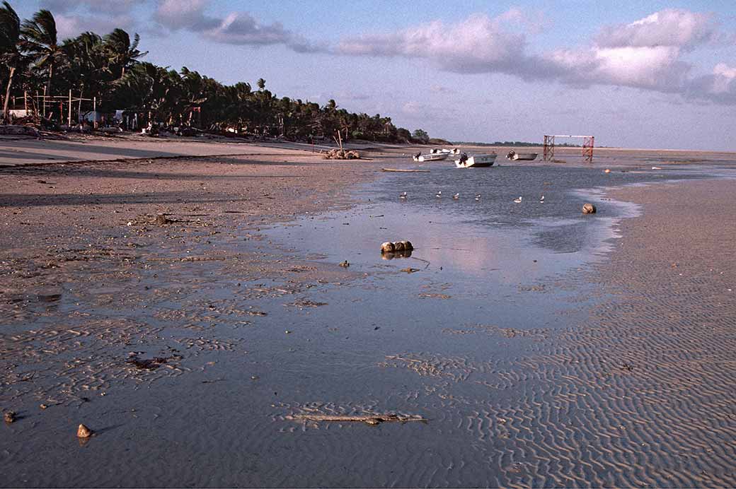 Yorke Island beach