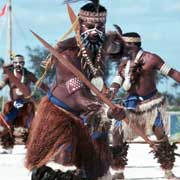 Saibai Paddle Dance