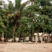 View from the beach