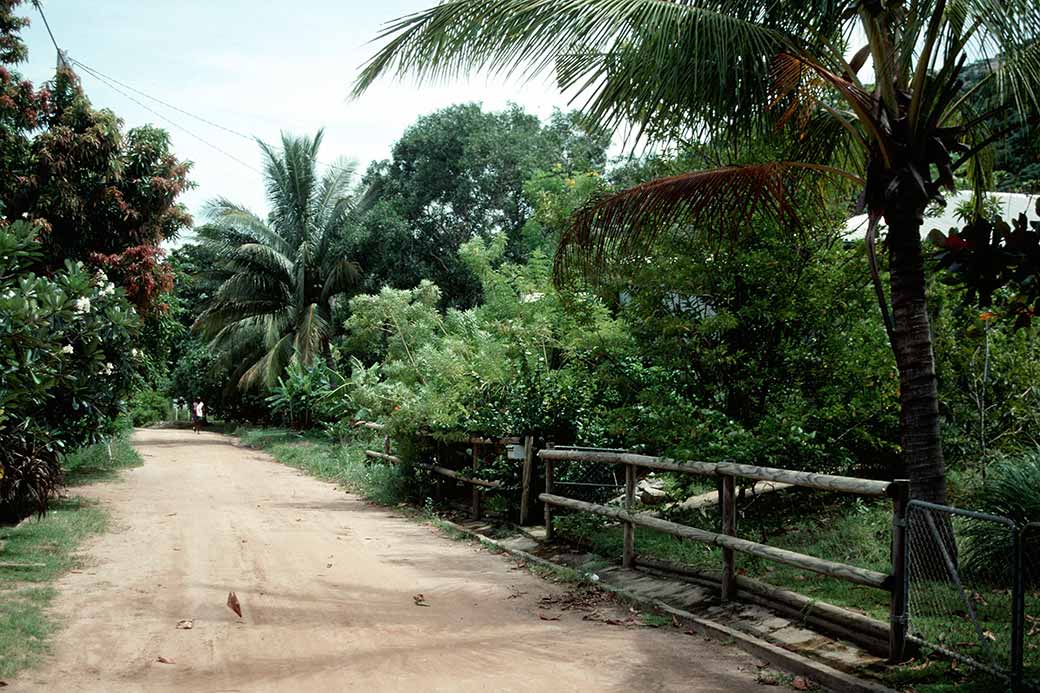 Street on Dauan