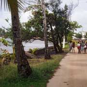 Coastal road, Saibai