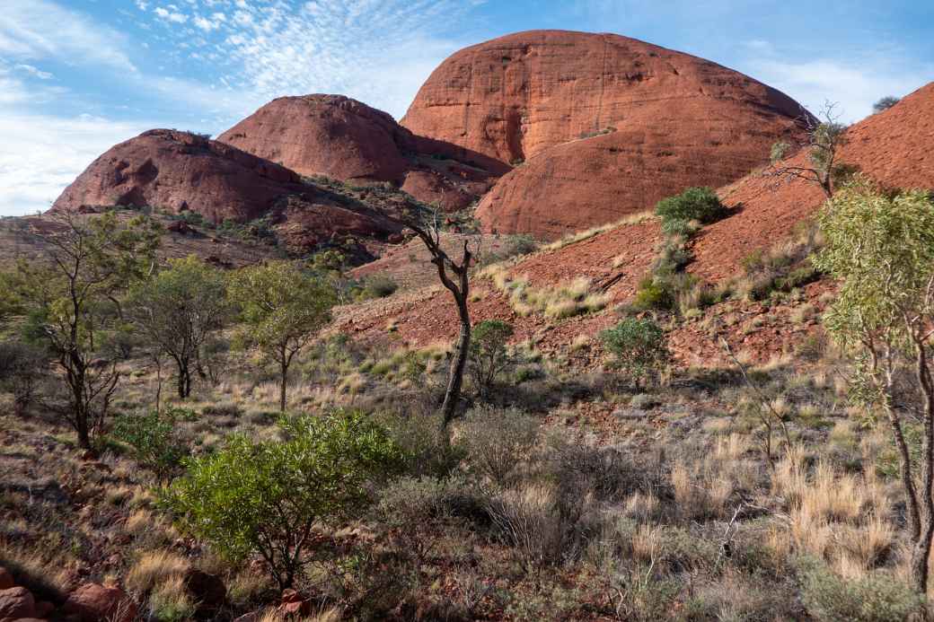 Valley of the Winds trail