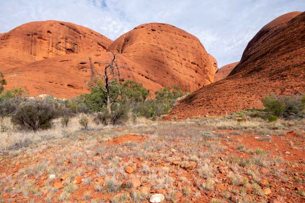 Domes, Kata Tjuta