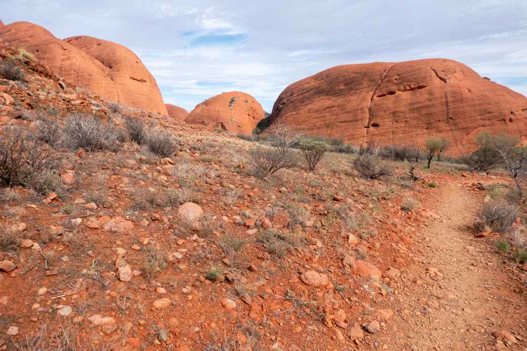 Pungalunga Men domes