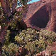 Mutitjulu Gorge