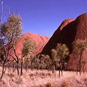 View of Uluru