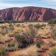 View to Uluru (Ayers Rock)