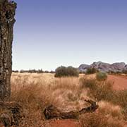 Road to Kata Tjuta