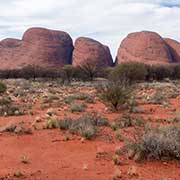 View to the Olgas (Kata Tjuta)