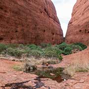 In Walpa Gorge