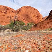 Domes, Kata Tjuta