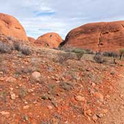 Pungalunga Men domes