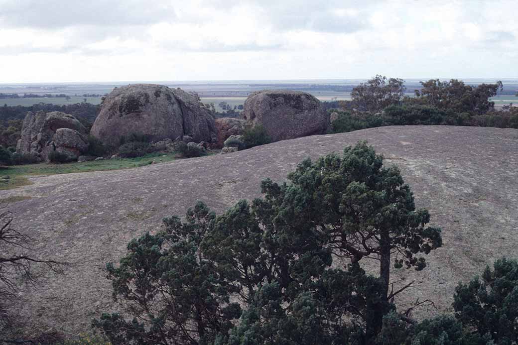 View from Mount Terrick Terrick