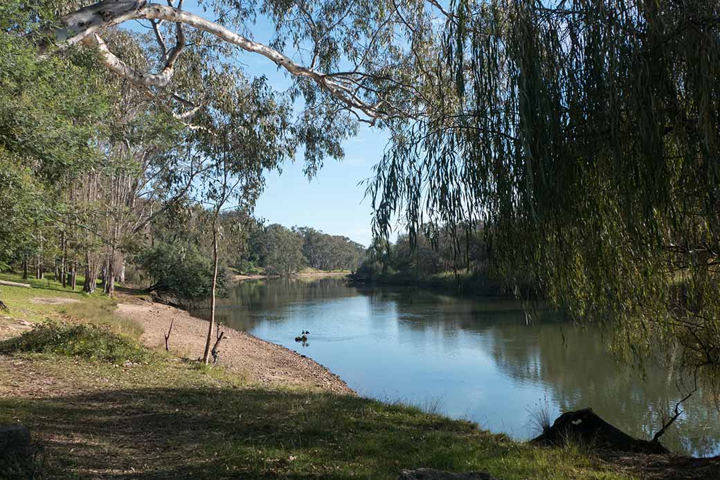 Murray River