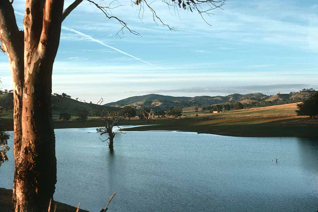 Lake Eildon