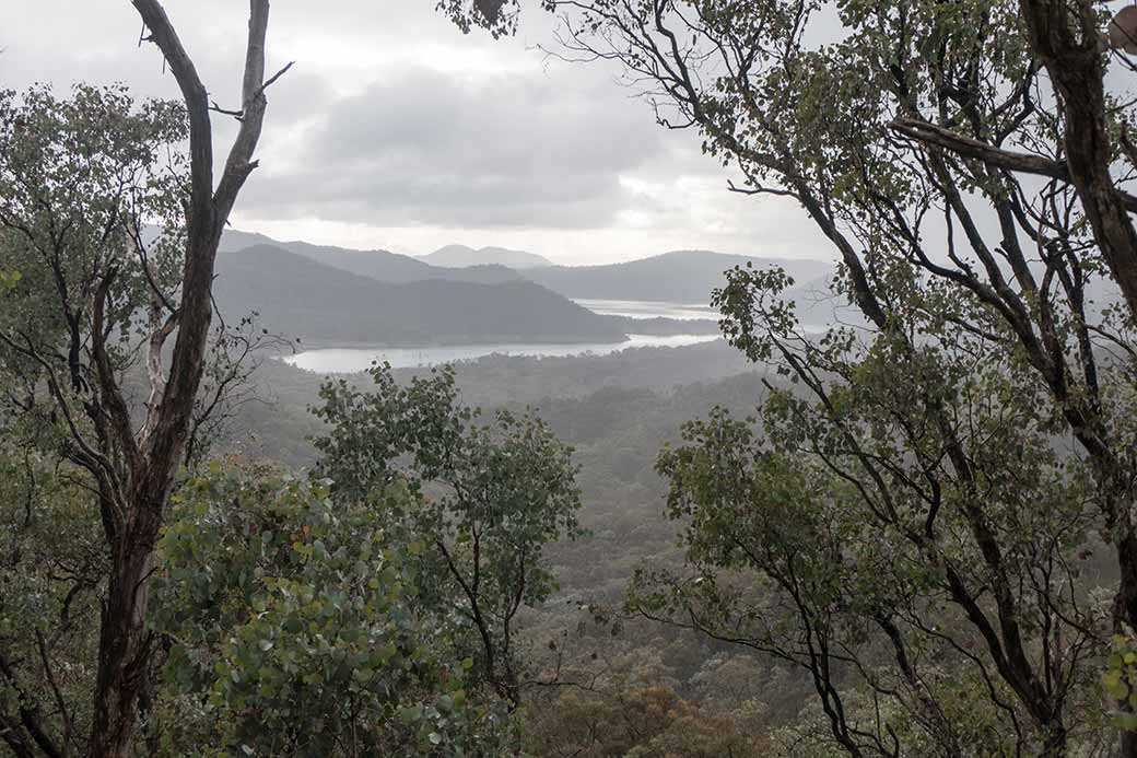 Lake Eildon view