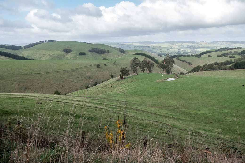 South Gippsland view