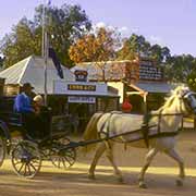 Horse and cart, Pioneer Settlement