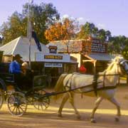 Pioneer Settlement Museum