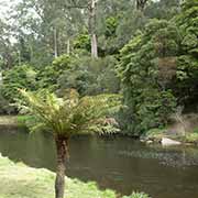 Yarra River, Warburton