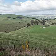 South Gippsland view