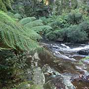 Tarra Falls