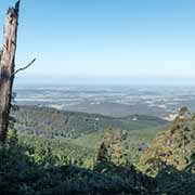 View from Yarram-Blackwarry Road