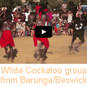 Aboriginal dancing from Barunga/Beswick (1)