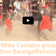 Aboriginal dancing from Barunga/Beswick (3)