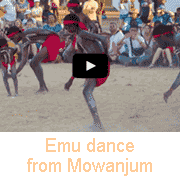 Aboriginal dancing from Mowanjum (3)