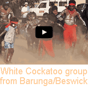 Aboriginal dancing from Barunga/Beswick (5)