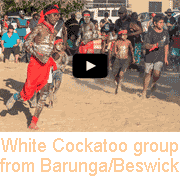 Aboriginal dancing from Barunga/Beswick (6)