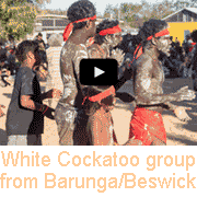 Aboriginal dancing from Barunga/Beswick (7)