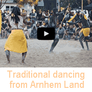 Aboriginal dancing from Arnhem Land (7)