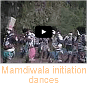 Marndiwala dancers