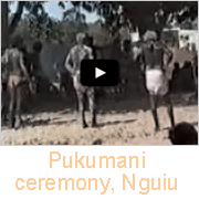 Pukumani ceremony, Nguiu