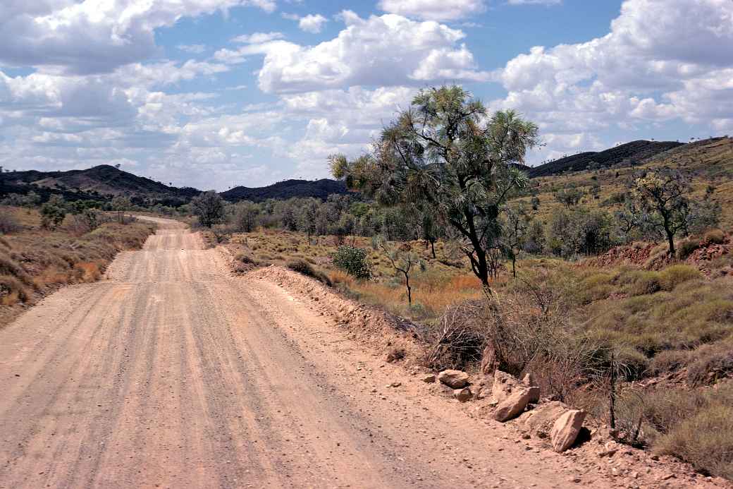 Road from Nicholson to Halls Creek