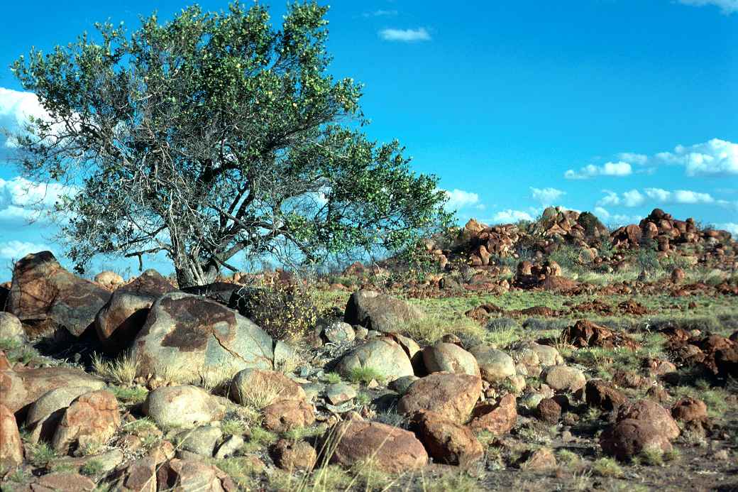 Landscape west of Halls Creek