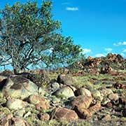 Landscape west of Halls Creek