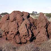 Termite mound