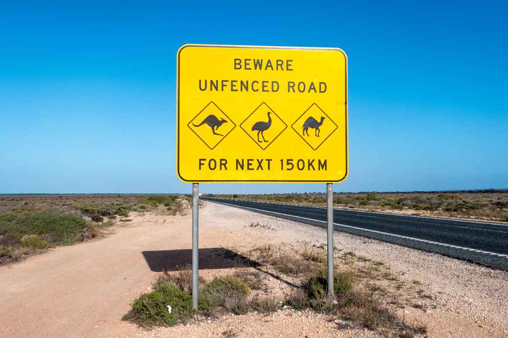 Warning sign, Eucla